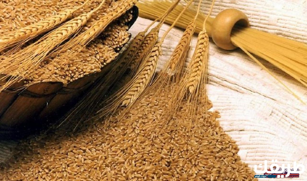 تفسير رؤية الشعير في المنام لابن سيرين 8 100524377360439